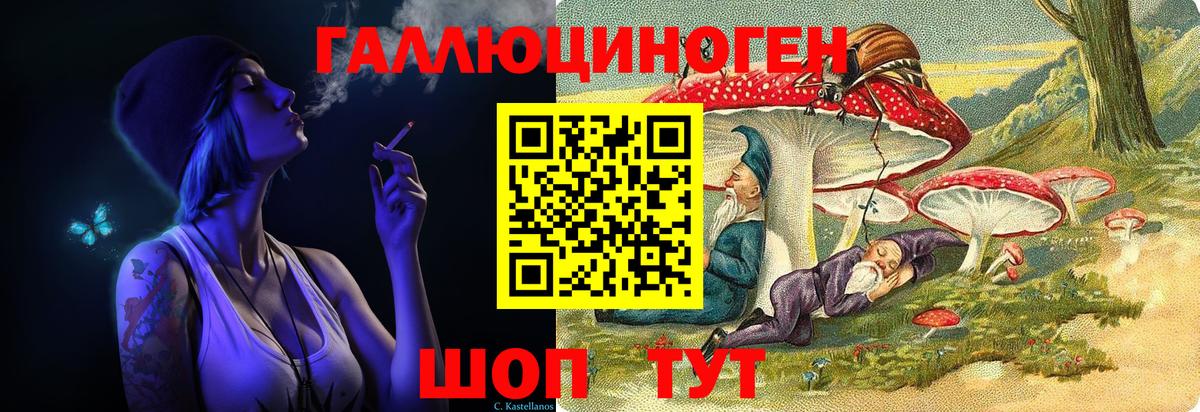 Псилоцибиновые грибы Cubensis Берёзовский